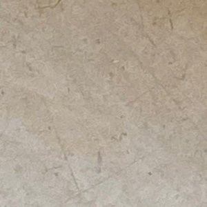 Meet your Posher, Ameer